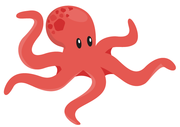 image octopus