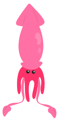 image squid
